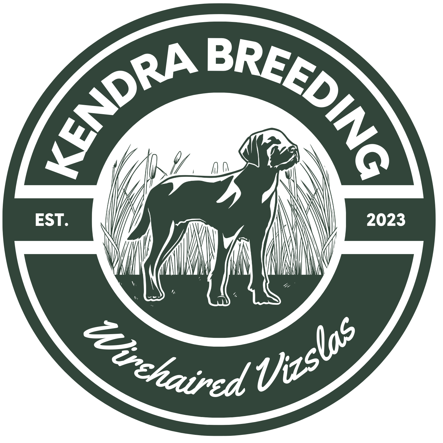 kendra breeding wirehaired vizslas